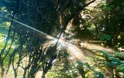 Energie, die du ausstrahlst – und Energie, die andere spüren